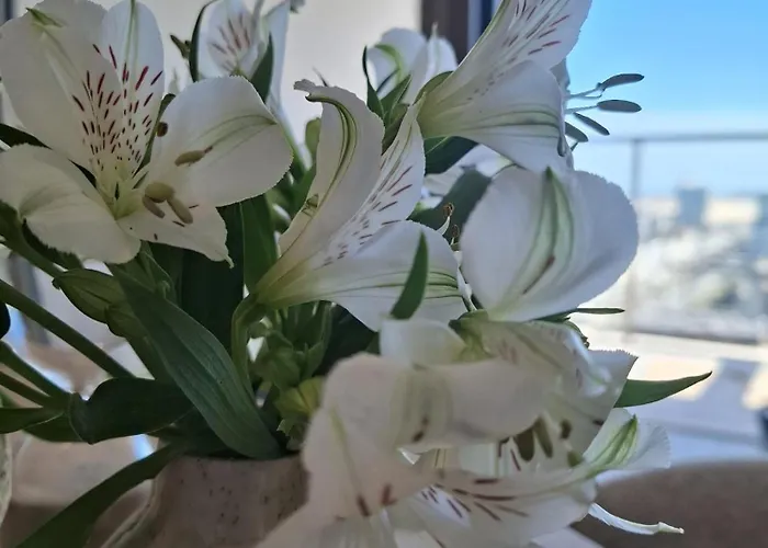 Zilt 15 By Bloss 公寓