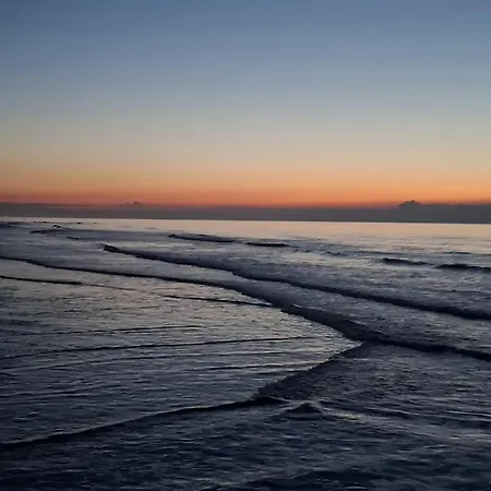 Zilt 15 By Bloss * Ostende
