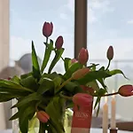 Zilt 15 By Bloss 奥斯滕德