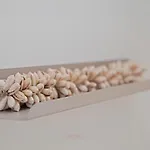 Zilt 15 By Bloss 奥斯滕德