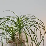 Zilt 15 By Bloss 公寓 *