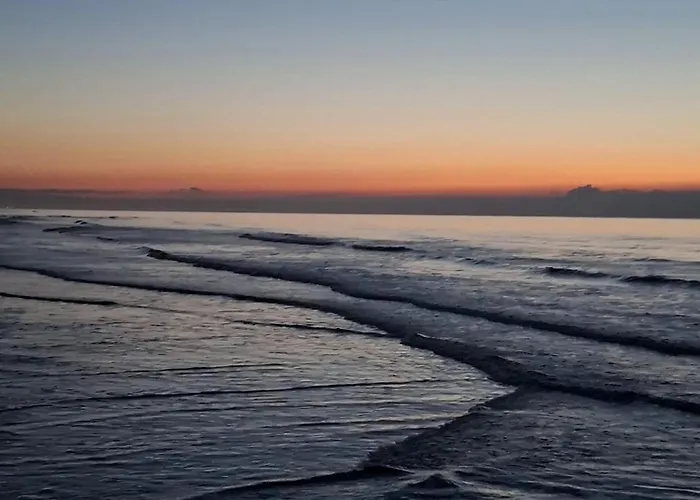 Zilt 15 By Bloss * Ostende